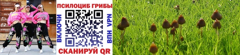Галлюциногенные грибы ЛСД  Унеча 