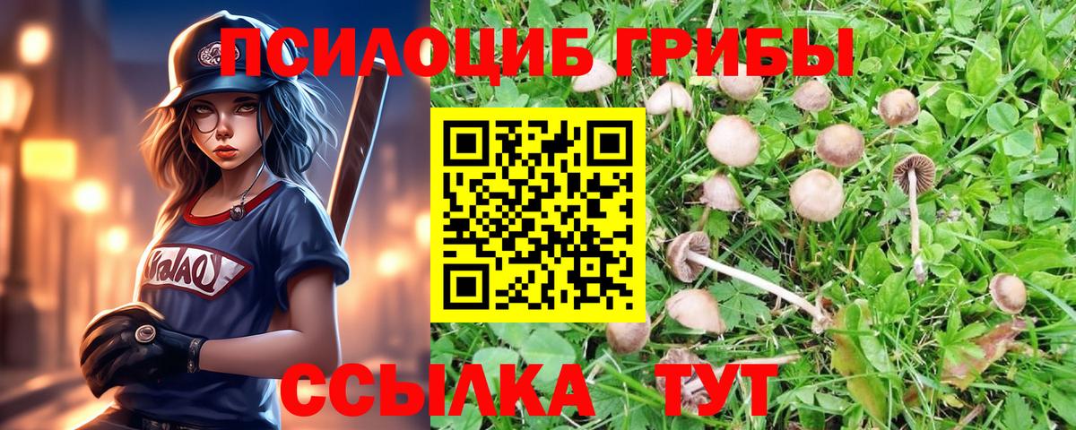 Псилоцибиновые грибы мицелий  Галлюциногенные грибы Psilocybe  Унеча  Вход с VPN 