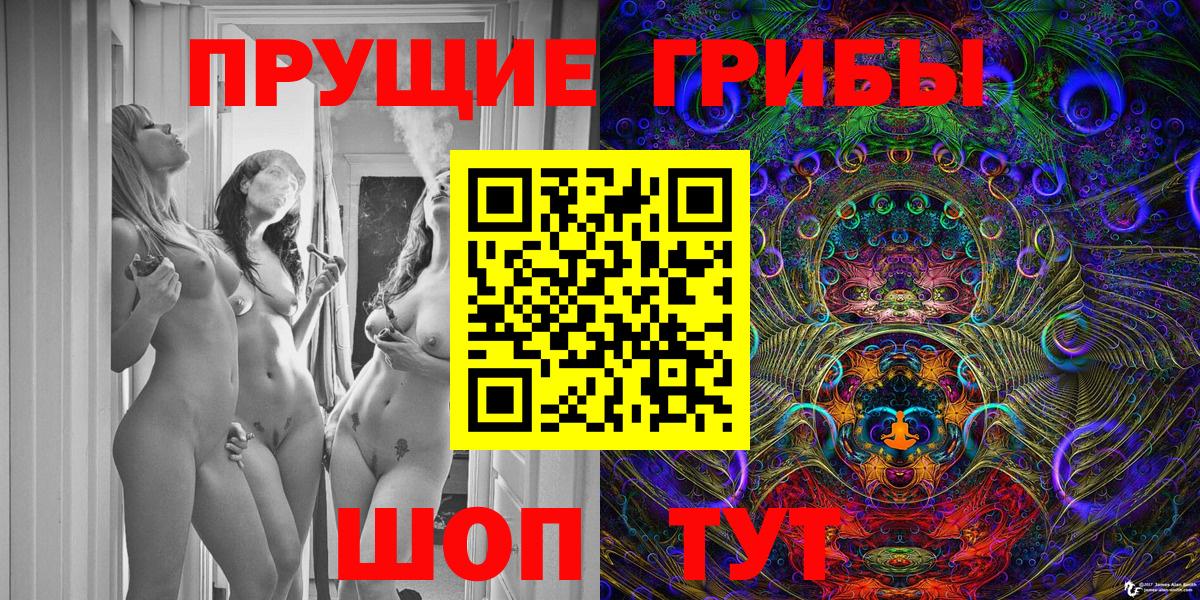 Псилоцибиновые грибы Psilocybe Унеча
